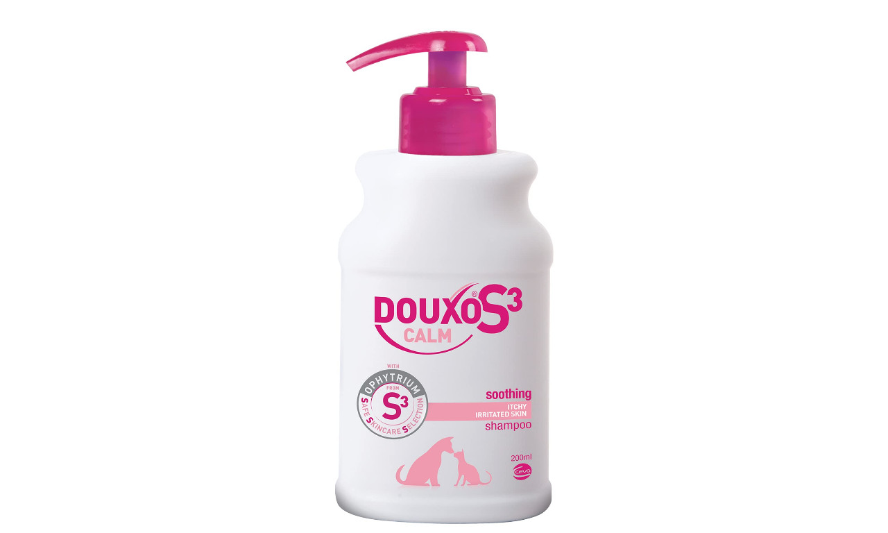 10 Best Medicated Dog Shampoos for Skin Allergies - Orlando Magazine - Dog Shampoos For Eczema In Dogs