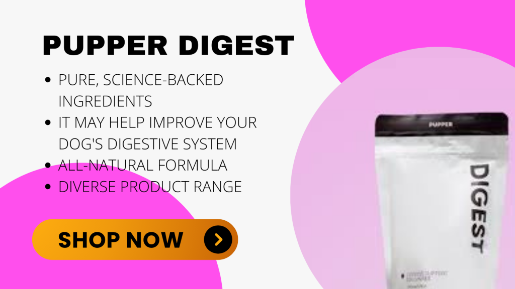 Best Probiotics For Dog In 2022: Supplement For Healthy Canine Gut ... - Probiotics For Canine Gut Inflammation Relief And Digestion