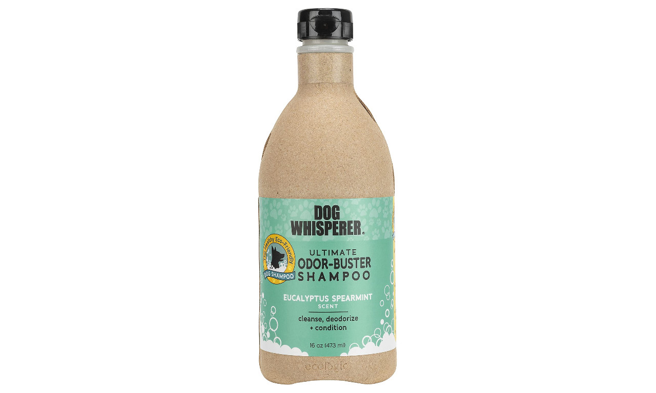 20 Best Dog Shampoos for Odor Orlando Magazine