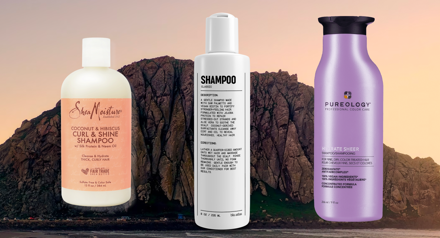 Utrolig Kollektive Wade The Best Shampoos for Oily Scalp and Dry Ends - Orlando Magazine