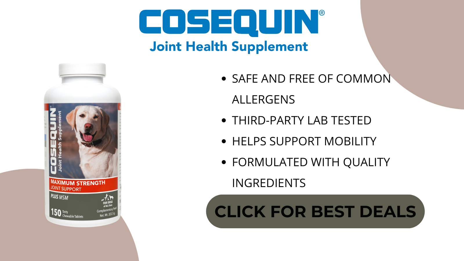 10 Best Joint Supplements For Dogs In 2023 Orlando Magazine