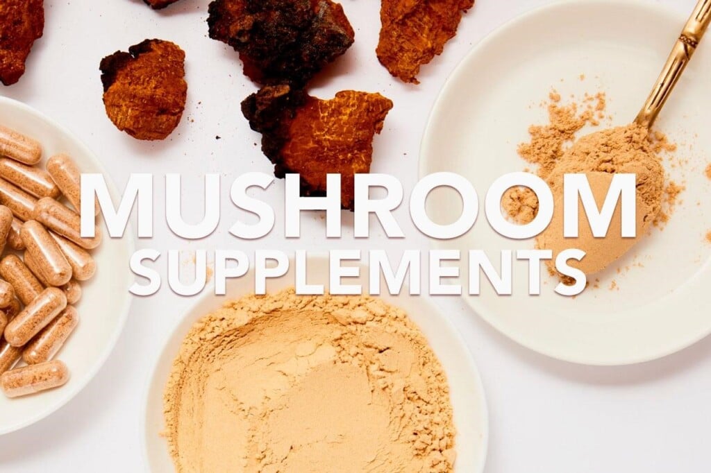 Best Mushroom Supplements Header