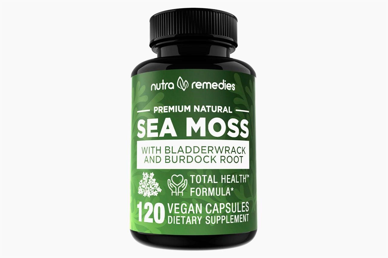 Best Sea Moss Top Sea Moss Supplement Brands to Buy Orlando Magazine