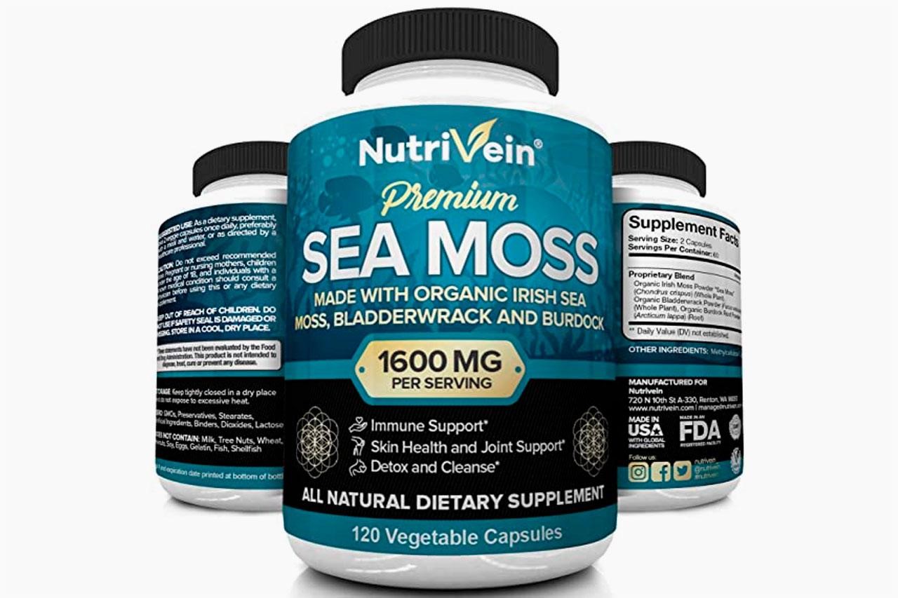 Best Sea Moss Top Sea Moss Supplement Brands to Buy Orlando Magazine