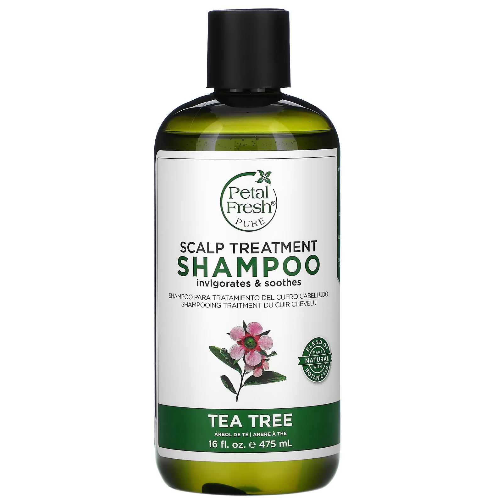 The Best Shampoos for Seborrheic Dermatitis Orlando Magazine