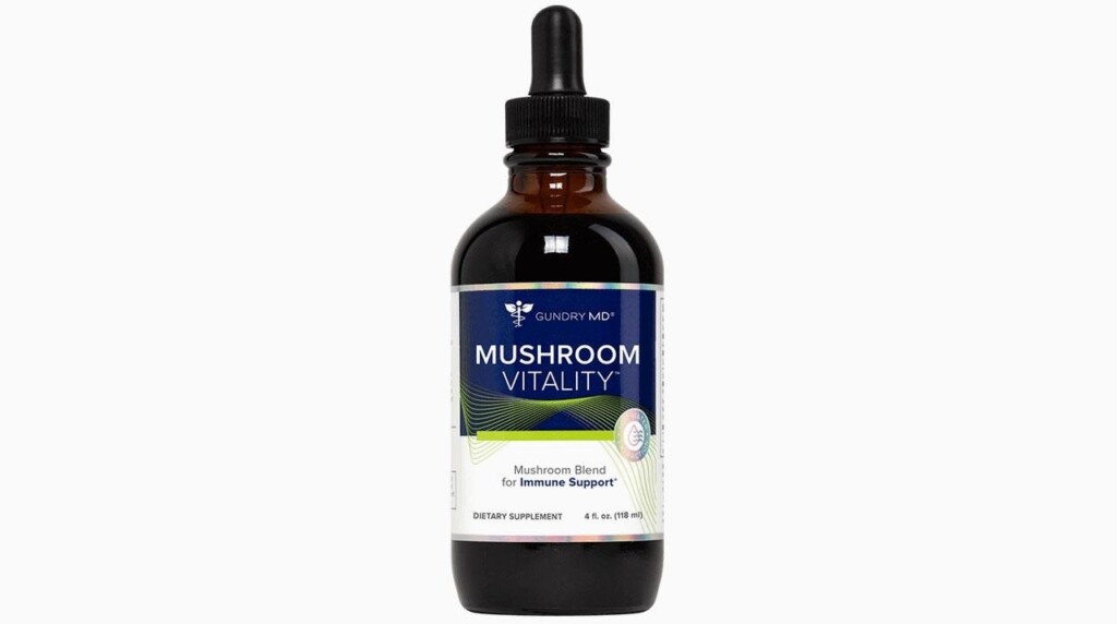 Top 11 Best Mushroom Supplements Most Effective Product Brands to Buy