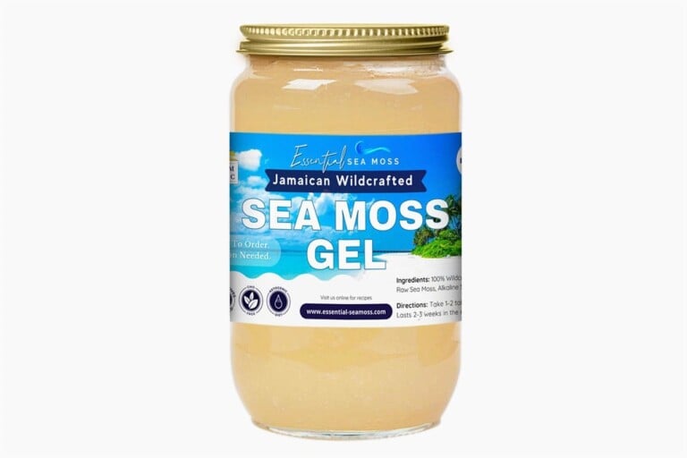 Best Sea Moss: Top Sea Moss Supplement Brands to Buy - Orlando Magazine