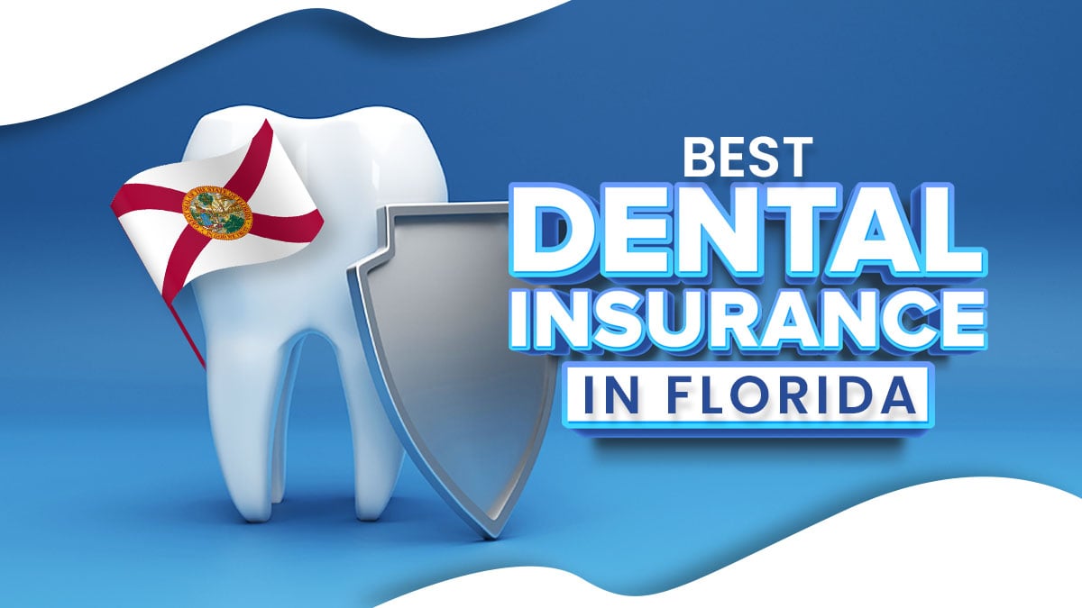 Best Dental Insurance in Florida 2024 Top Companies Offering