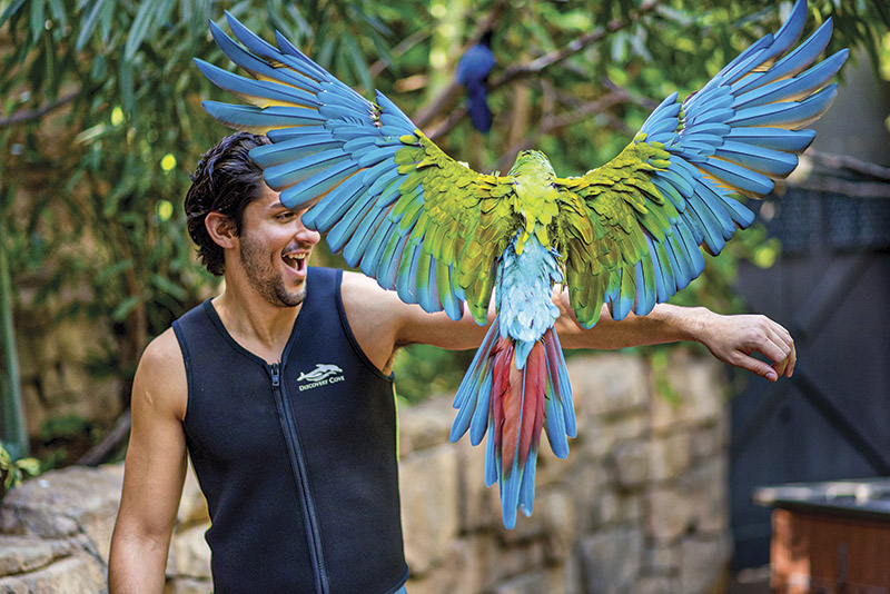 Discovery Cove Animal Trek