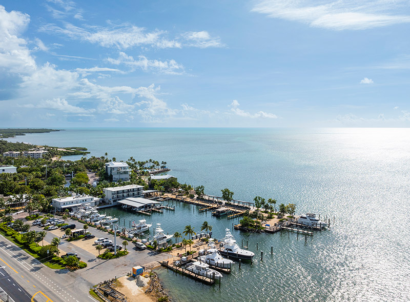 0993 240930 Islamorada