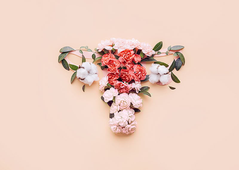 Perimenopause 476477879