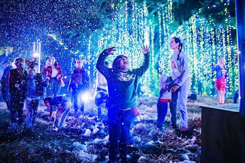 20241125 Dsc4071 Enhanced Nr