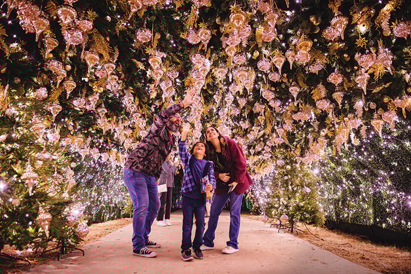 20241125 Dsc4298 Enhanced Nr