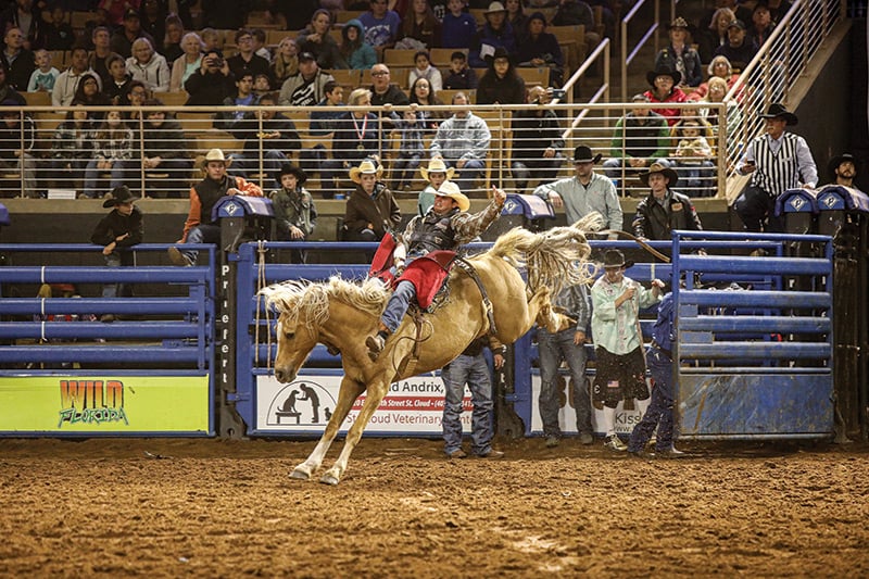 Silver Spurs Rodeo Saddlebronc Rider