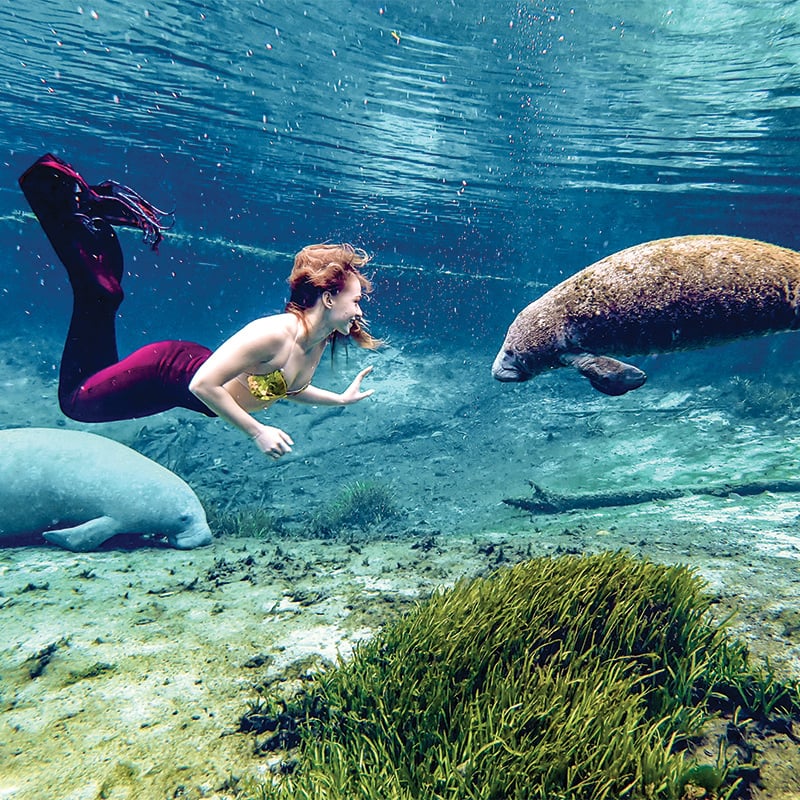 Weeki Wachee Mermaid Paisley 5367