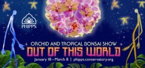 Orchid and Tropical Bonsai Show: Out of This World @ Phipps Conservatory and Botanical Gardens | | |