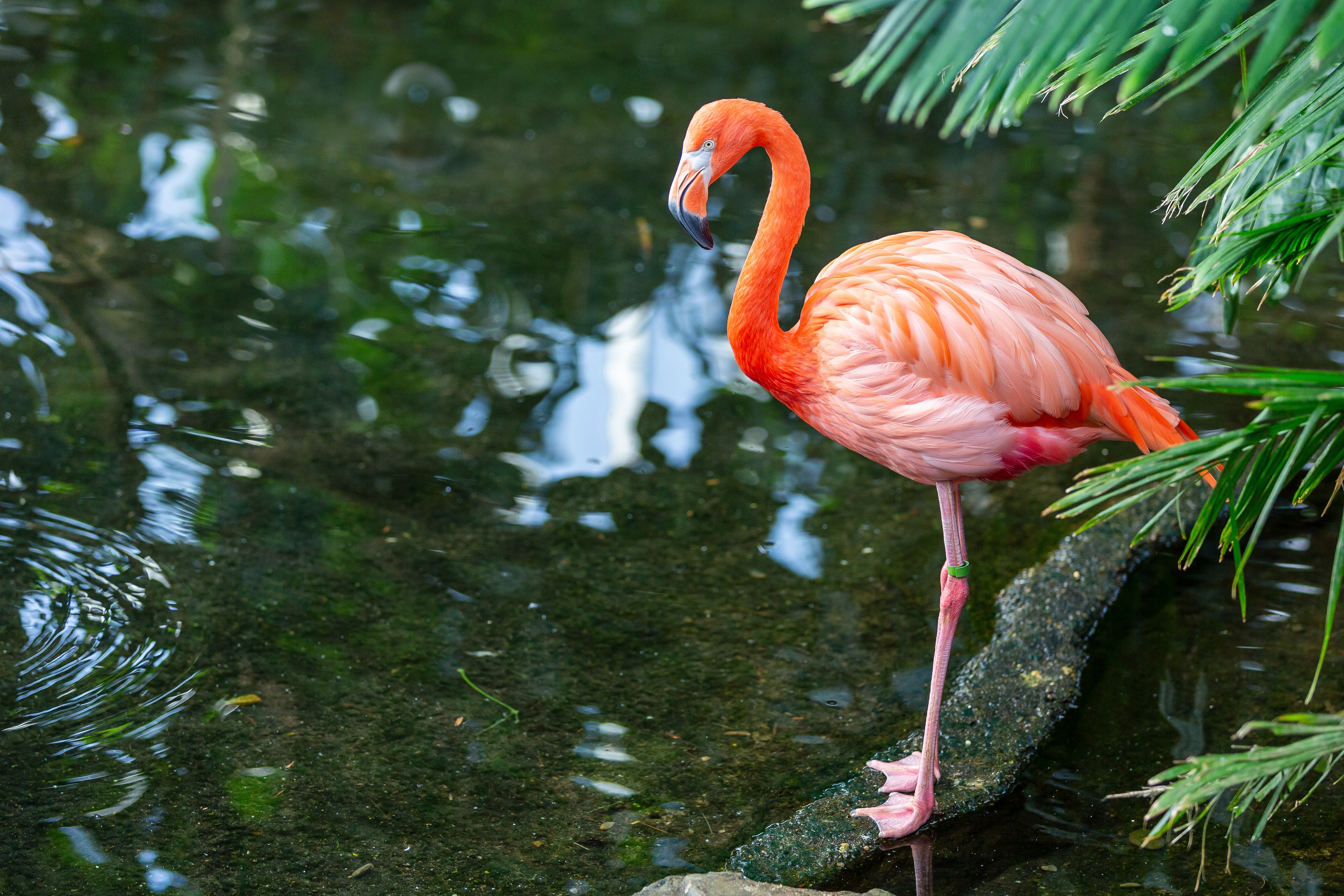 Holiday celebrations at the National Aviary create memories for lifetime