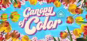 Spring Flower Show: Canopy of Color @ Phipps Conservatory and Botanical Gardens | Pittsburgh | Pennsylvania | United States