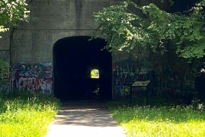 Img 0496