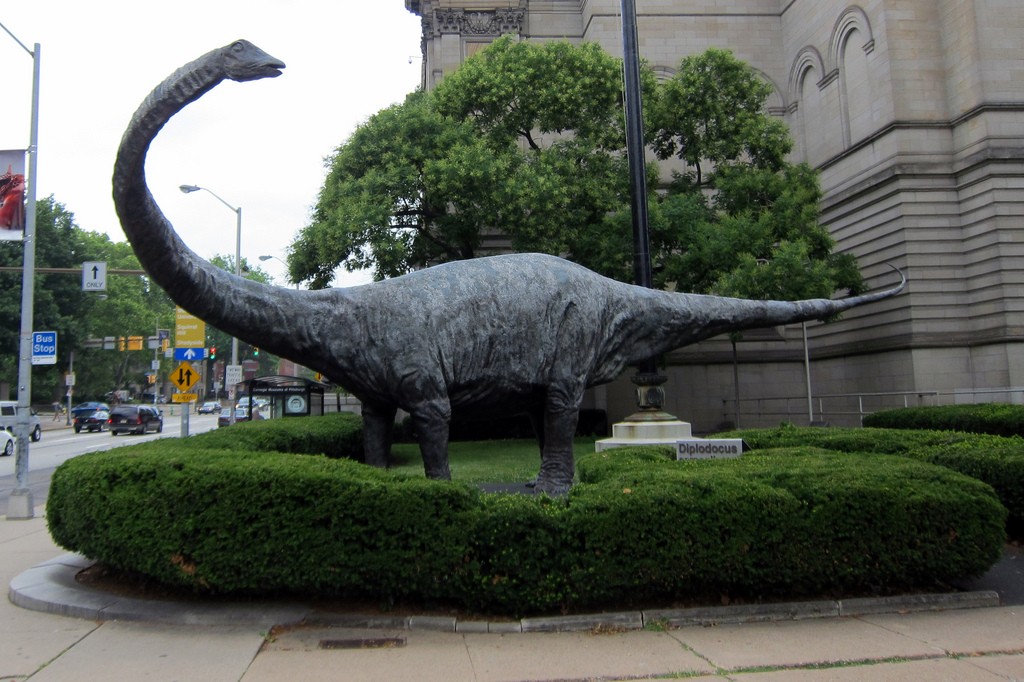 Dippy