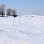 Dsc 0059