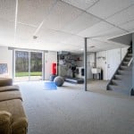 Swansonbasement