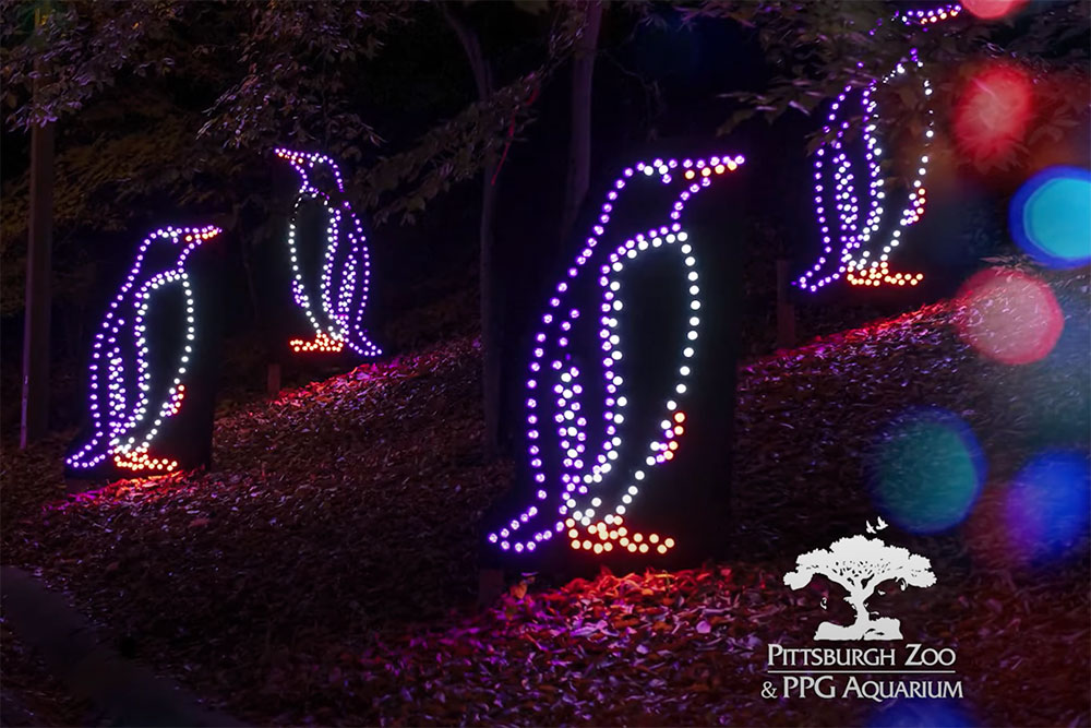 Tis the Season Get in the Holiday Spirit with These Local Light Shows