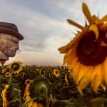 Sunflower Closeup Van Gogh Balloon Photo Credit Kyle Flubacker
