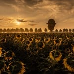 Van Gogh Balloon Sunflower Sunrise2 Photo Credit Kyle Flubacker