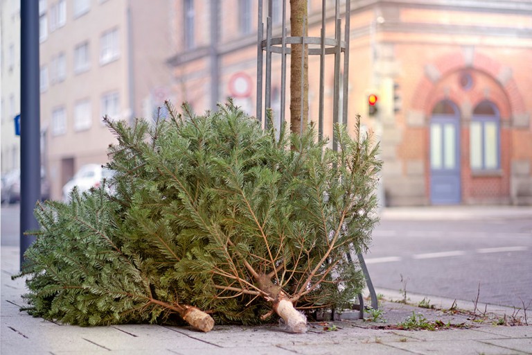 Christmas Tree Recycling Where You Can Drop Off Your Tree Pittsburgh