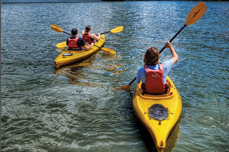 Kayaks Duo