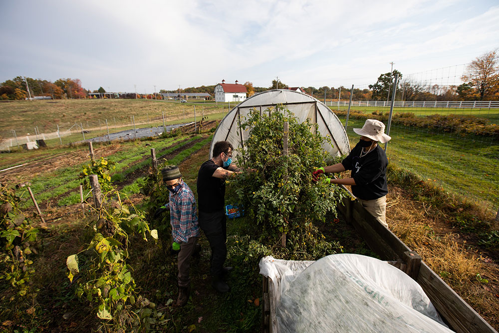 How to Make Pittsburgh a Laboratory for Sustainable Innovation ...