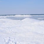 Dsc 0058