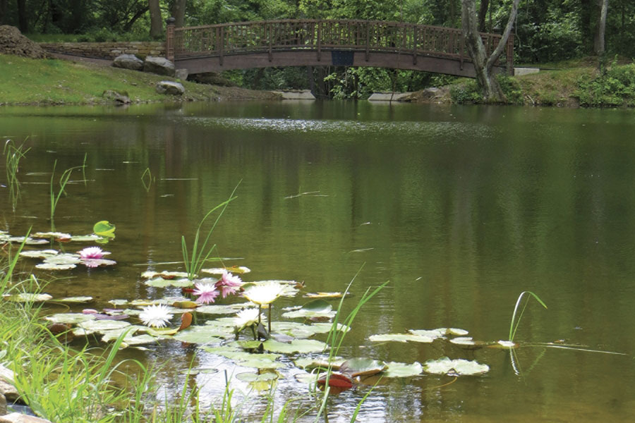 Botanic20bridge20jun15