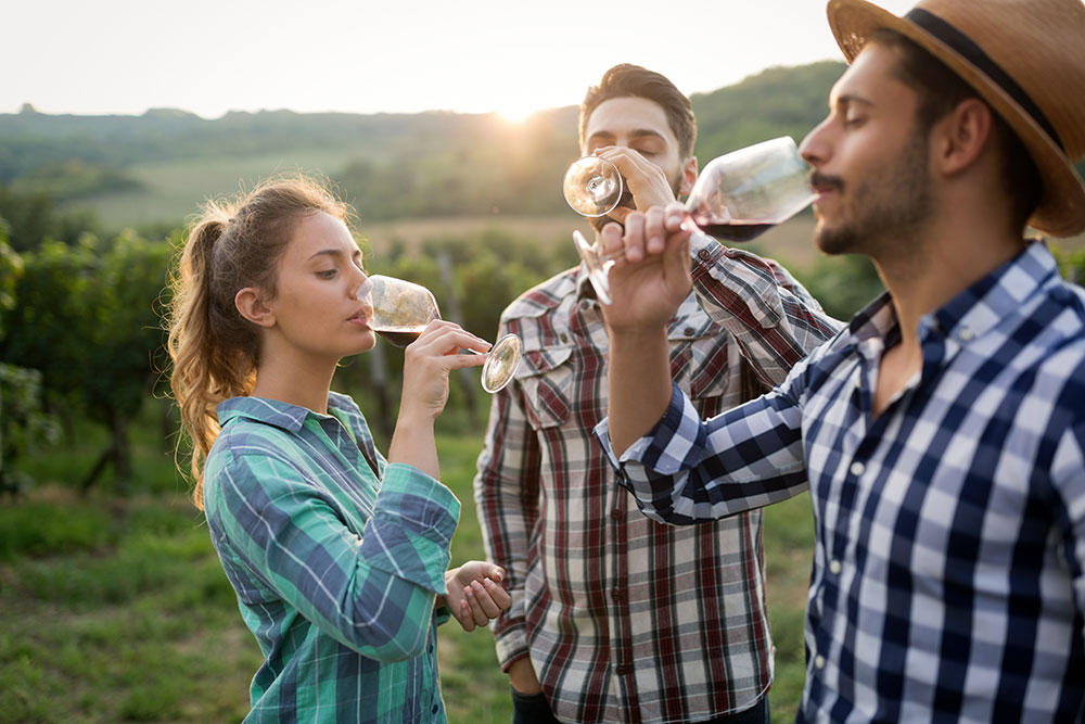 Winetasting