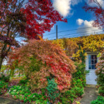 43 Back Yard Plantings With Fall Colors 701 S Braddock 25