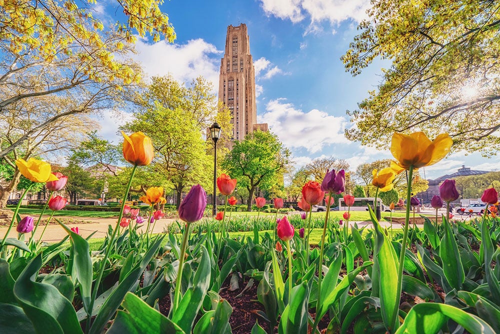 Cathedral Of Learning Dave Dicello