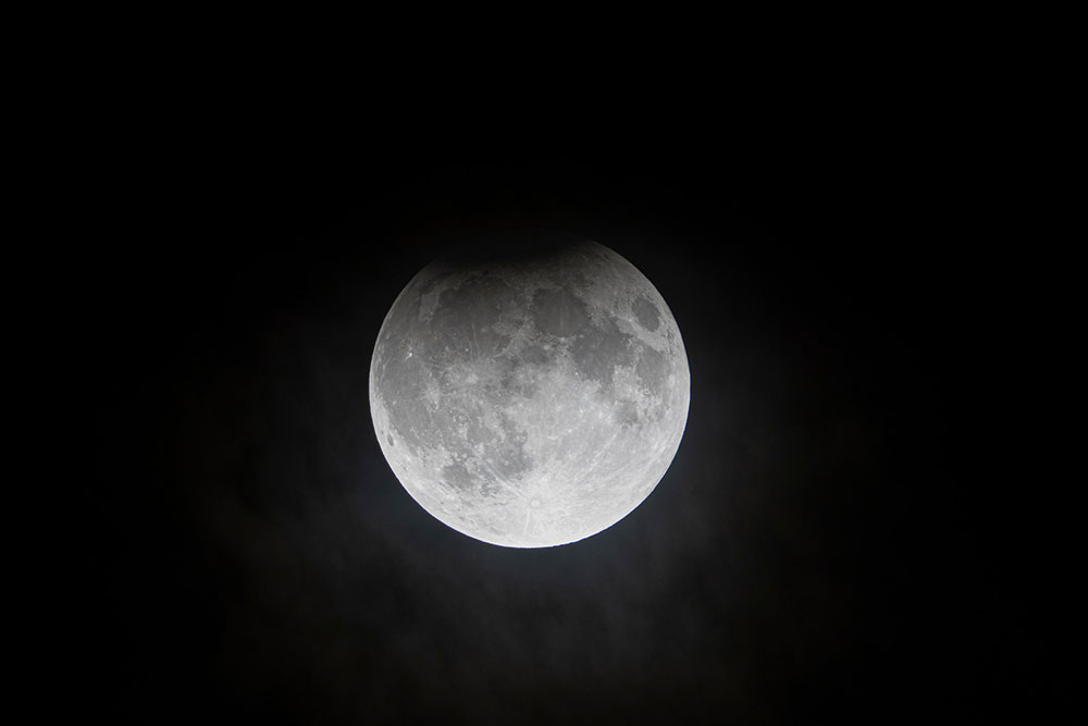 Harvest Moon Dave Dicello 3