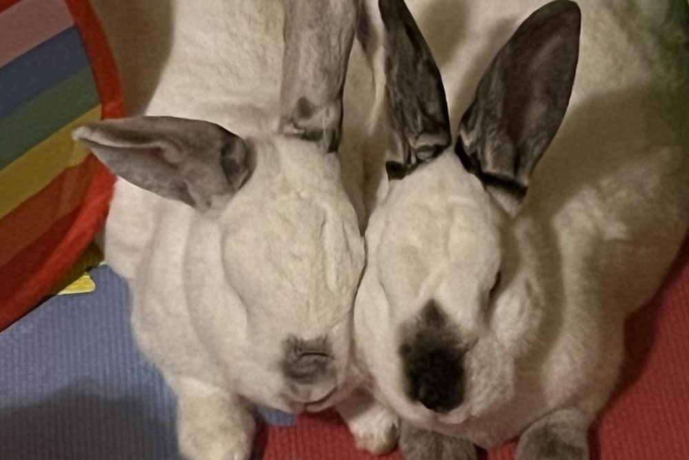 Pearl And Loki