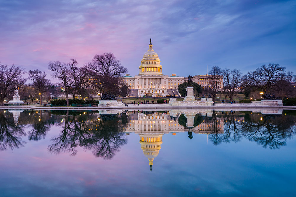 Washington Dc Capitol Building Adobe Stock
