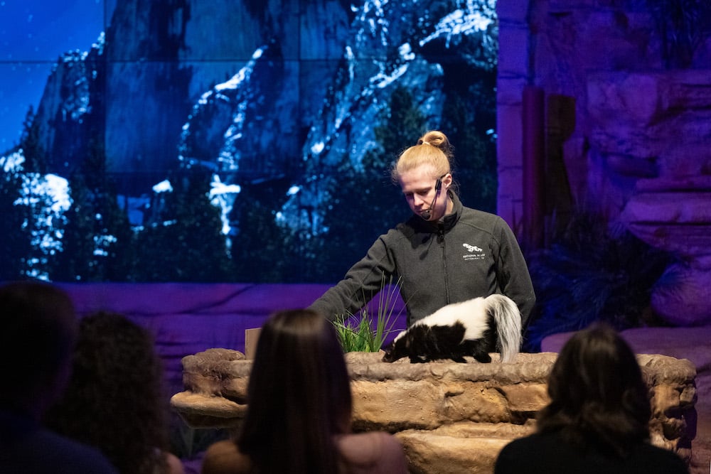 6 Things to Do in Pittsburgh This Weekend - National Aviary