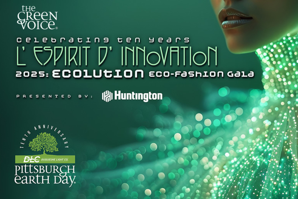 Ecolution Sponsored Content 1
