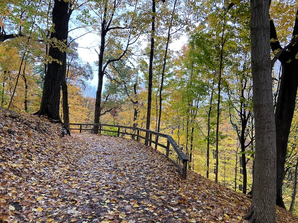 Frick Park Clayton Trail