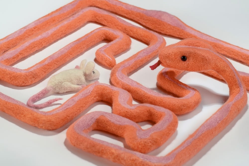 Fiberart International 8