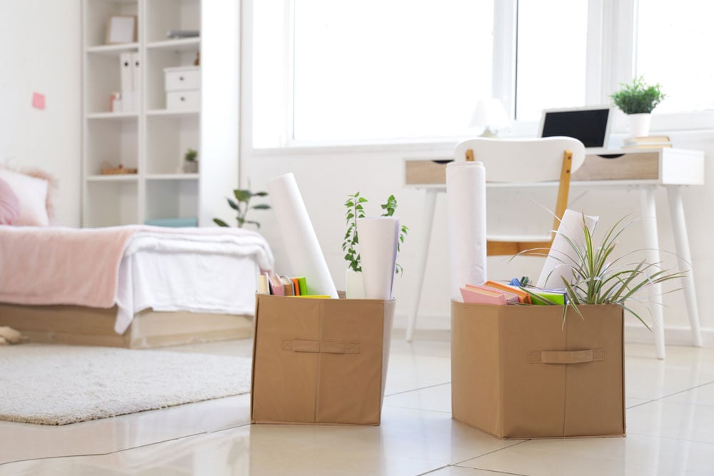 Adobestock College Dorm