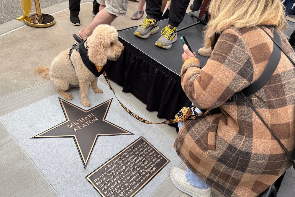 Walk Of Fame Ceremony