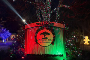 Where Will All the Official NFL Draft Activities Take Place in Pittsburgh?