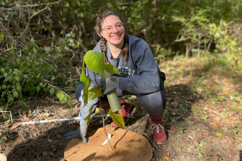Dlc Tree Planting 1000x667 Header