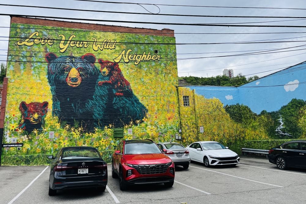 Bearmural2