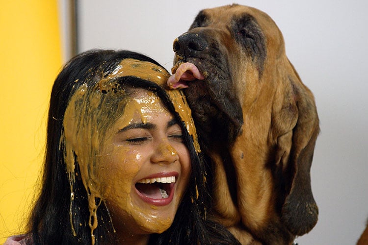 Watch: Pittsburgh Dogs Lick Up the Laughter